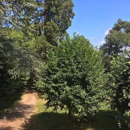 Le Chateau De Lesterie 住宿加早餐酒店